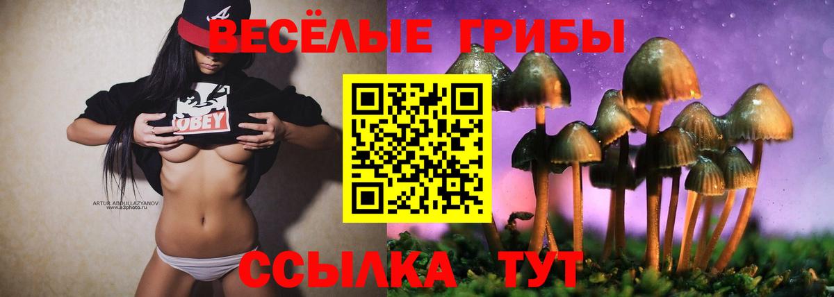 Зерноград  Галлюциногенные грибы прущие грибы  Вход с VPN  Галлюциногенные грибы прущие грибы 